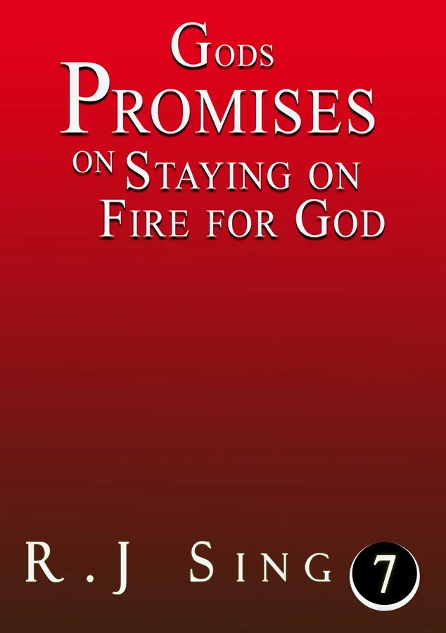 Cover of God’s Promises on Staying on Fire for God